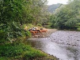 Área Recreativa Castañeda