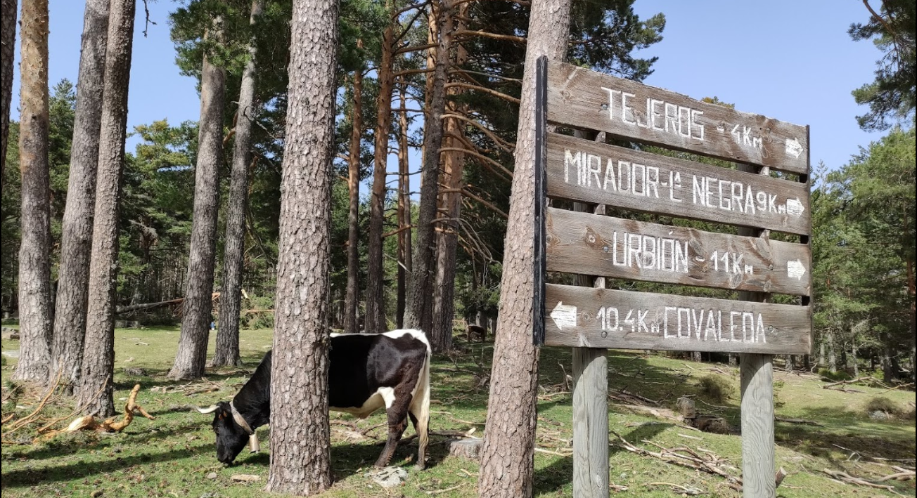 Área recreativa de Bocalprado