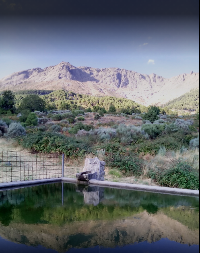 Área Recreativa Vientos Naturales