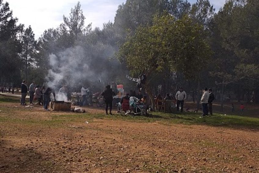 Área recreativa Mallorca