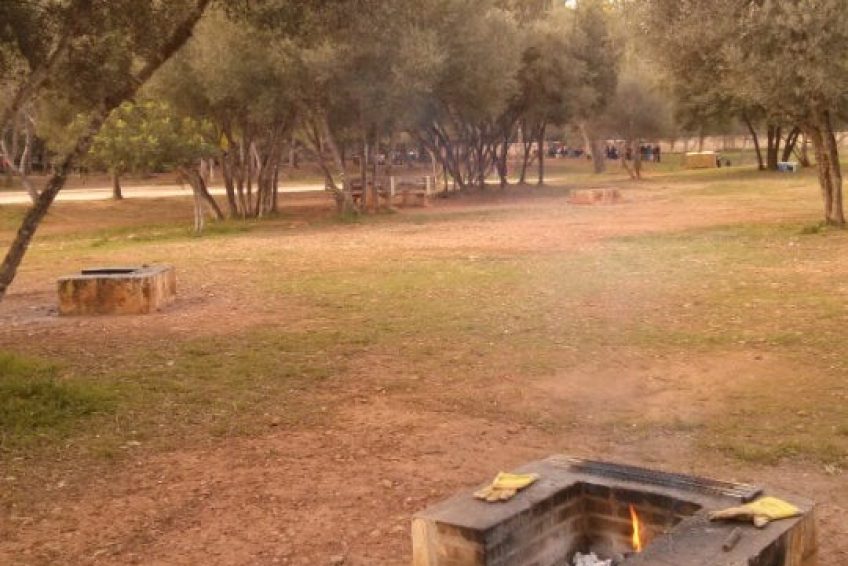 Área recreativa Mallorca