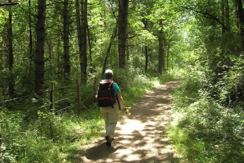 Área Recreativa Navarra