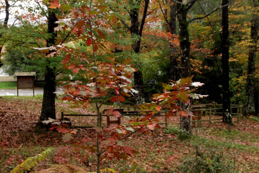 Área Recreativa Navarra