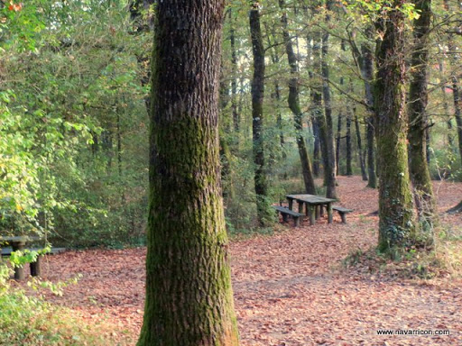 Área Recreativa Bosque de Orgi