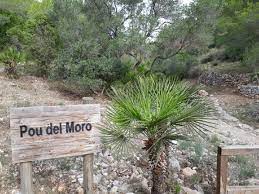 Área Recreativa Pou del Moro