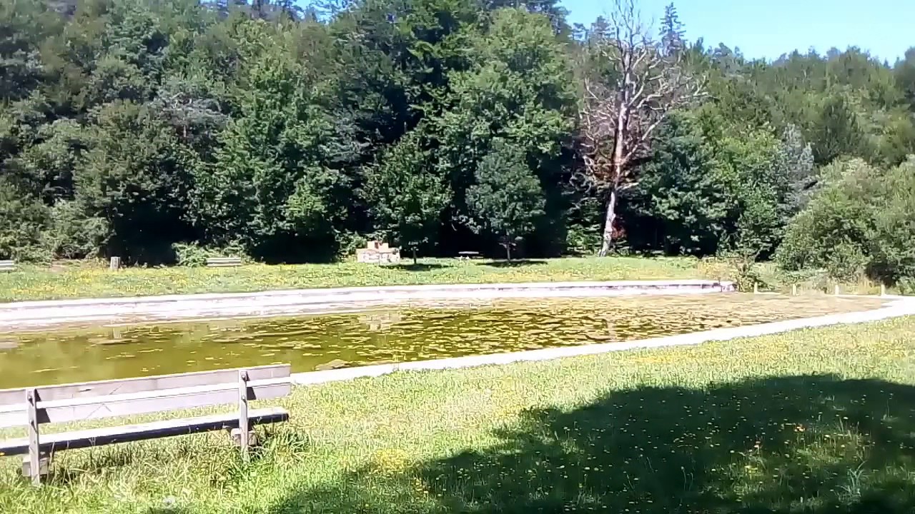 Área Recreativa Zatoya